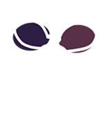 Twisted Bee